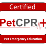 Pet CPR