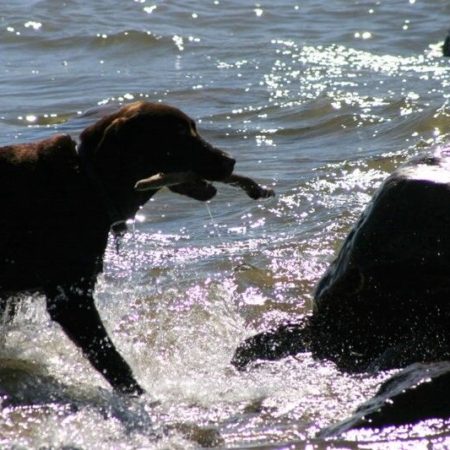 Neil in the lake, in the sun