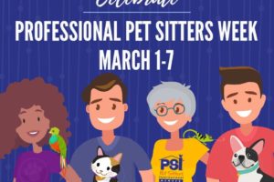 Hiring a Professional Pet Sitter: What You Need to Ask